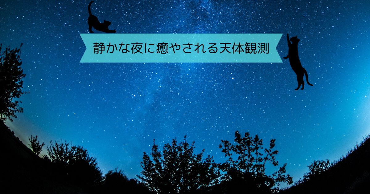 6月の夜空と猫のシルエット、天体観測を楽しむ静かな癒やしの時間を表現した画像