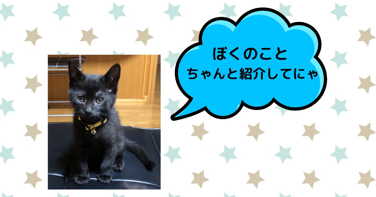 黒猫は縁起が悪い？ 黒猫子猫の「てん君」が自分の事を紹介してと言っている画像