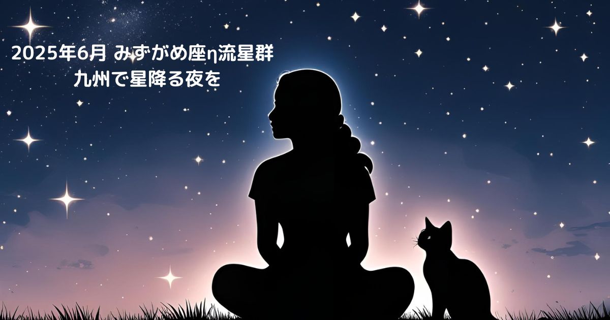 　2025年6月のみずがめ座η流星群と星空を見上げる女性と猫のシルエット