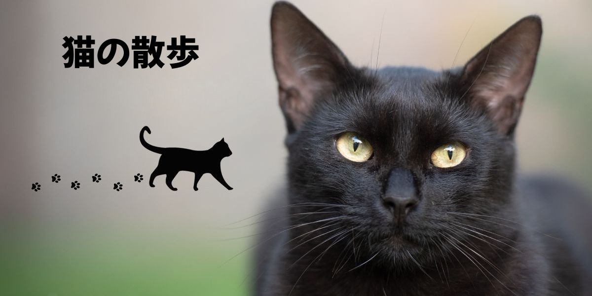 ブログ挑戦記のプロフィール用アイキャッチ画像（黒猫とロゴ）